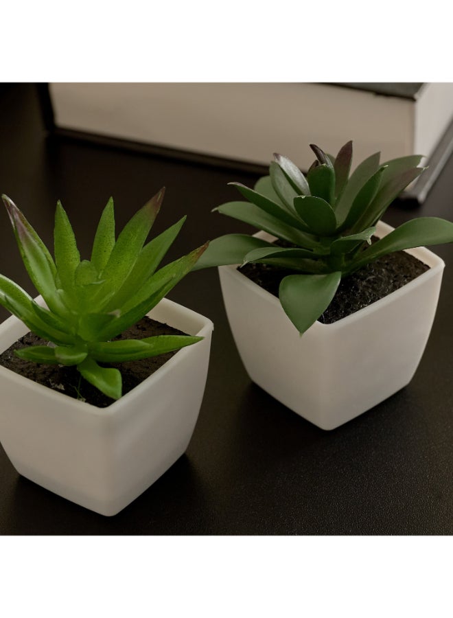 Home Box Evergreen Nordic Style Artificial Succulent Set for Home - Image 3